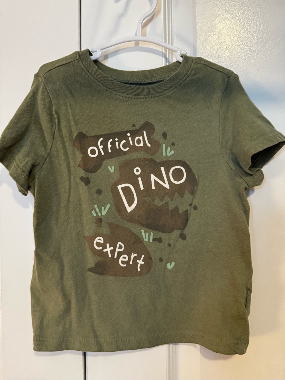 Old Navy Official Dino Expert Green Kids T-Shirt